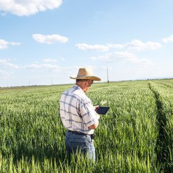 Right Tech Internet - We Support Smart Farming