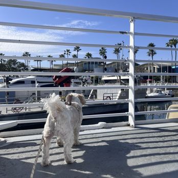 Harbor Breeze - Getting ready to board. - Boat Charters Near Me - Long Beach, California Harbor Breeze - Getting ready to board. - Boat Charters Near Me - Long Beach, California