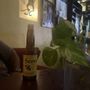 Photo of Bar Ranita