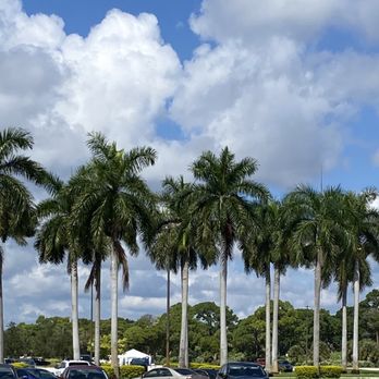 Corso Driving School - Oh Florida! What a view! Driving with this scenery is fantastic. - Driving Schools Near Me - Fairfield, New Jersey
