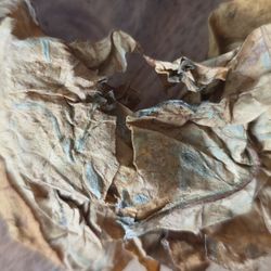 Leaf Only - Whole leaf tobacco
