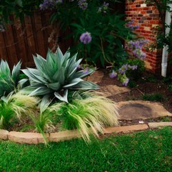Native Gardeners