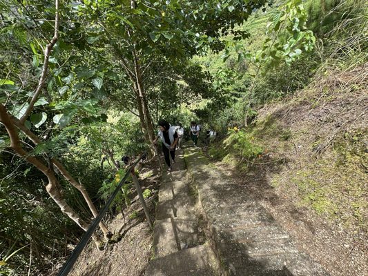 Apo Whang Od (Legendary Filipino mambabatok Tattoo Artist) by null