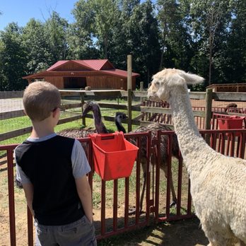 Alpaca Run Farm - Farms Near Me - Parkersburg, West Virginia Alpaca Run Farm - Farms Near Me - Parkersburg, West Virginia