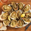 Acme Oyster House gift card