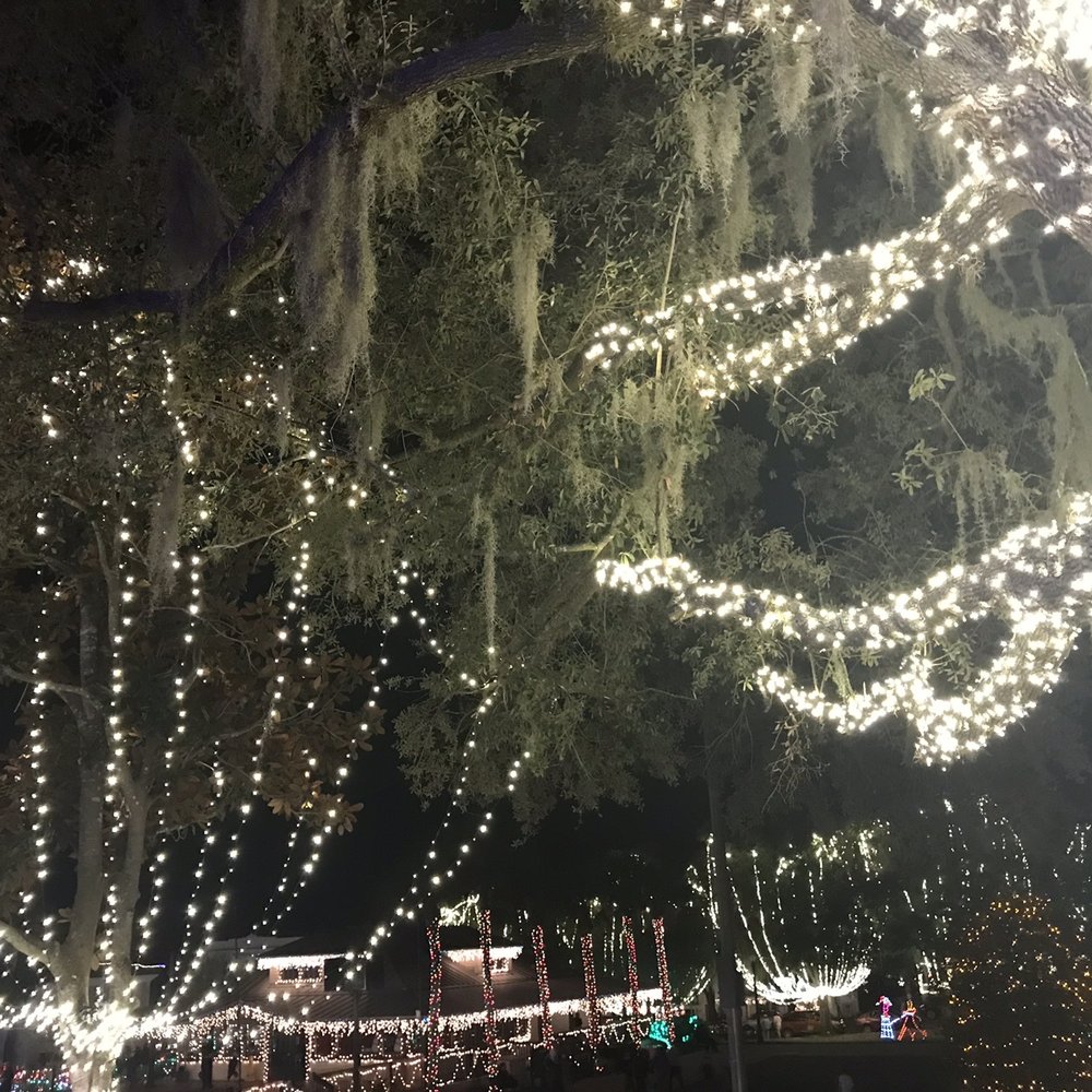 Donnelly Park - Parks Near Me - Mount Dora, Florida