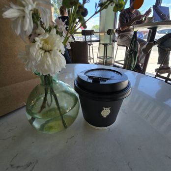 The Understudy Coffee And Books - Cappuccino to go - Bookstores Near Me - Chicago, Illinois The Understudy Coffee And Books - Cappuccino to go - Bookstores Near Me - Chicago, Illinois