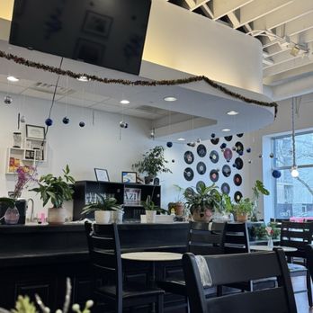 Blue Kale Cafe & Lounge - Cafes Near Me - Skokie, Illinois