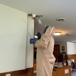 Dave Smith's Exterminating