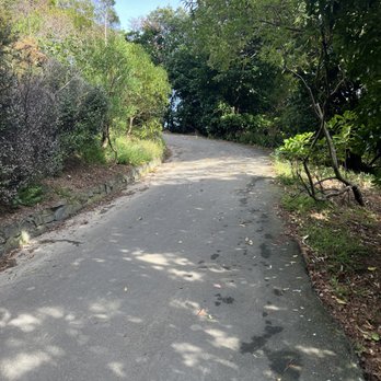 Charles Plimmer Park - Walkway up - Parks Near Me