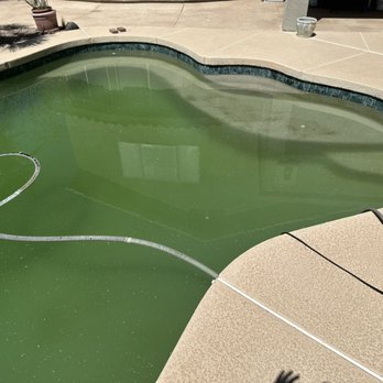 See it clean pools - Dirty algae filled pool - Pool Cleaners Near Me See it clean pools - Dirty algae filled pool - Pool Cleaners Near Me