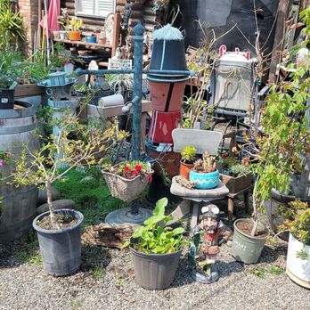 Fenton's Nursery - Nurseries & Gardening Near Me - Oakdale, California Fenton's Nursery - Nurseries & Gardening Near Me - Oakdale, California
