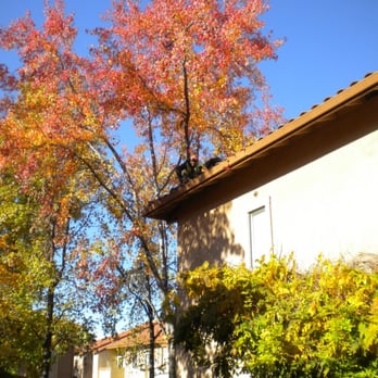 All About Gutters - Rain Gutter Cleaning Large Apartment Complex - Gutter Services Near Me - Santa Clara, California