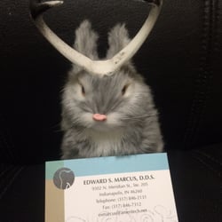 Edward Marcus, DDS - You never know what you might see at Dr. Marcus' place.