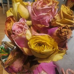 Petals and Blooms