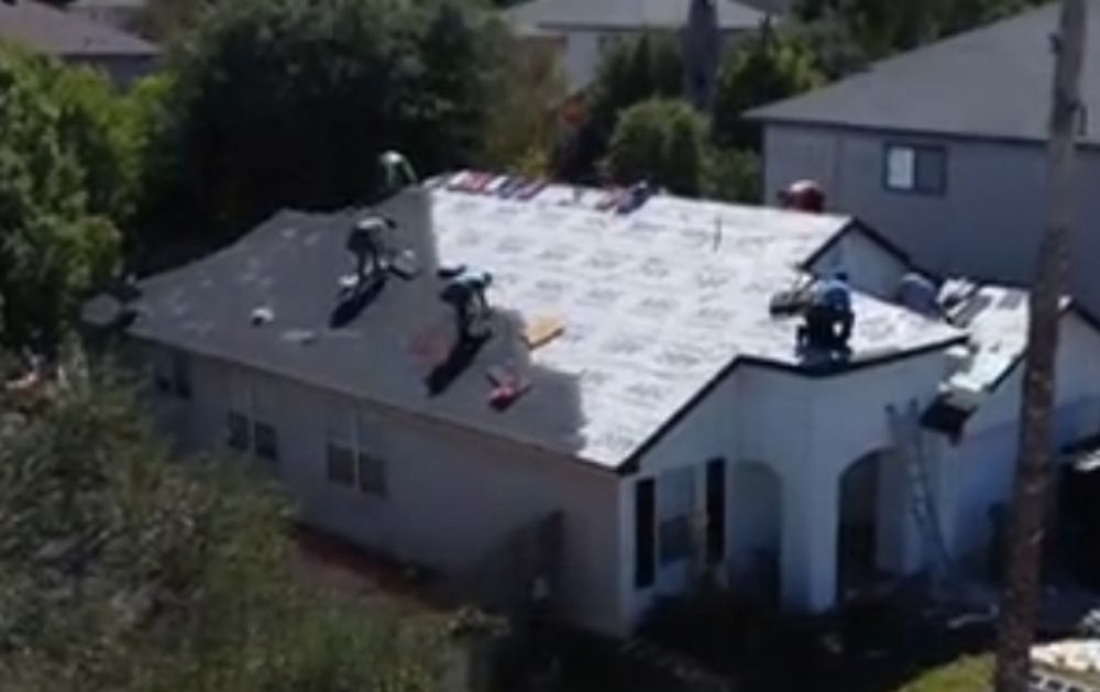 Slide of Mayhaw Fig Roofing