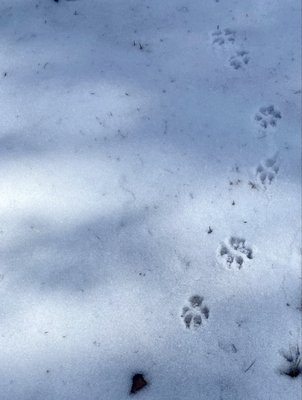 Skidaway Island State Park by null