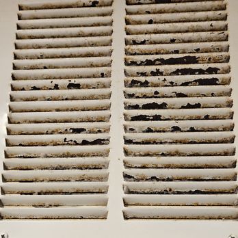 Flamingo Las Vegas - Gross, disgusting vent in the bathroom. Those resort fees could pay for this! - Hotels Near Me - Las Vegas, Nevada Flamingo Las Vegas - Gross, disgusting vent in the bathroom. Those resort fees could pay for this! - Hotels Near Me - Las Vegas, Nevada