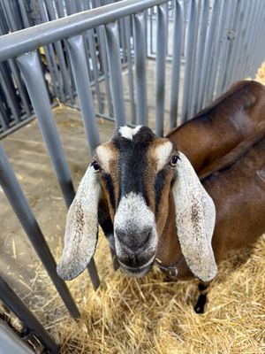 Oregon State Fair & Exposition Center by null
