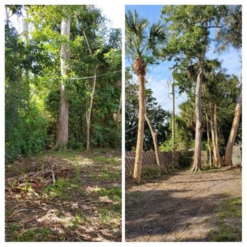 A Branch Above The Rest Tree Service - Before/After - Tree Services Near Me A Branch Above The Rest Tree Service - Before/After - Tree Services Near Me