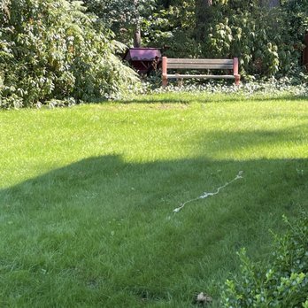Solid Ground Landscape - Lush grass! - Irrigation Near Me - Everett, Washington