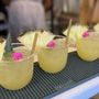 Photo of Hard Served Mobile Bartending