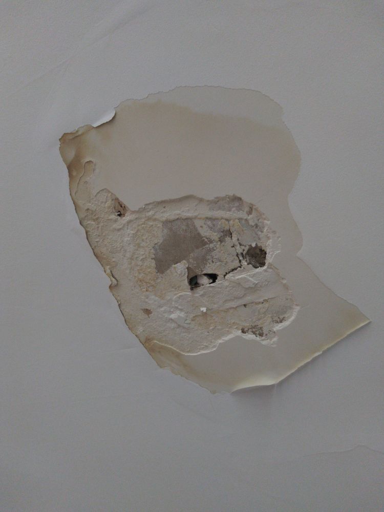 FINE LINES & DESIGN Updated June 2024 46 Photos Folcroft