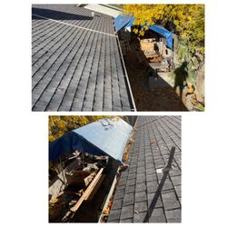 Drain Dogs and Gutters