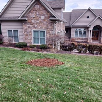 Yard Pro - the front of a house with a lawn in the foreground - Tree Services Near Me Yard Pro - the front of a house with a lawn in the foreground - Tree Services Near Me