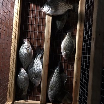 Indian Beach Resort - Kiddos caught a couple of crappie fishes at night. - Hotels Near Me - Glenhaven, California Indian Beach Resort - Kiddos caught a couple of crappie fishes at night. - Hotels Near Me - Glenhaven, California