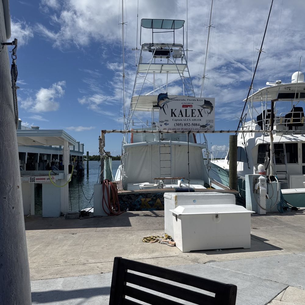 Saylor Ashton's Sunrise Grill - The view from table. - Cafes Near Me - Islamorada, Florida Saylor Ashton's Sunrise Grill - The view from table. - Cafes Near Me - Islamorada, Florida