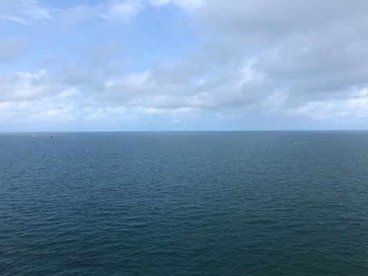 Trinity Bay Lookout by null