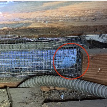 The Twin Home Experts - Mesh from the inside of my attic, you can see where the hole is where the rat was getting in from L. - Plumbing Near Me - Van Nuys, California The Twin Home Experts - Mesh from the inside of my attic, you can see where the hole is where the rat was getting in from L. - Plumbing Near Me - Van Nuys, California