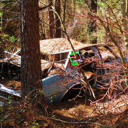 Black Run Preserve - Looks like they forgot to shut their trunk.