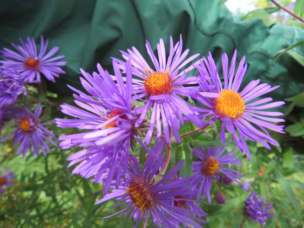 Social spots from Indian Fort Nature Preserve