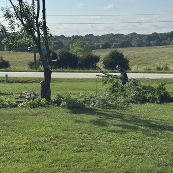 Dean's Tree Service - Dean at work. - Tree Services Near Me Dean's Tree Service - Dean at work. - Tree Services Near Me