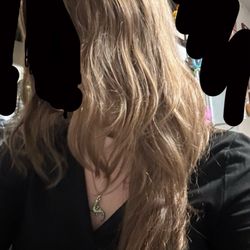 Great Clips - The "layer" she cut to my chin that didn't blend into my hair