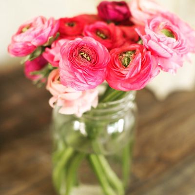 Fulshear Farmers Market by null