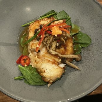Malone's Lansdowne - Dinner - Miso Seared Sea Bass - Steakhouses Near Me - Lexington, Kentucky Malone's Lansdowne - Dinner - Miso Seared Sea Bass - Steakhouses Near Me - Lexington, Kentucky