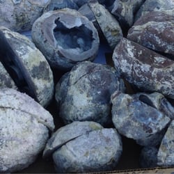 Bug House - Dugway Geodes collected and ready for cleaning and polishing!