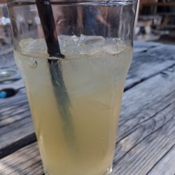 Ginger beer over ice. Wet my whistle after a 10 km walk.