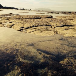 Mathesons Bay - Great view out to little barrier island
