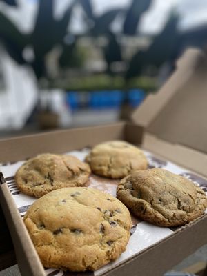 Choc Cookies by null