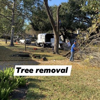 Big Tex Tree Service and Landscaping - Tree removal - Tree Services Near Me - Katy, Texas Big Tex Tree Service and Landscaping - Tree removal - Tree Services Near Me - Katy, Texas