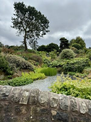 Royal Botanic Garden Edinburgh by null