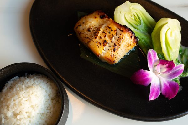 Kissaki Japanese Restaurant by null