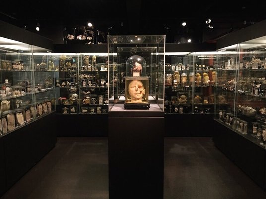 Museum Vrolik by null