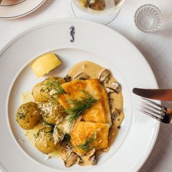 Sea Horse - Pike Perch a la Mannerheim - You just have to try this!