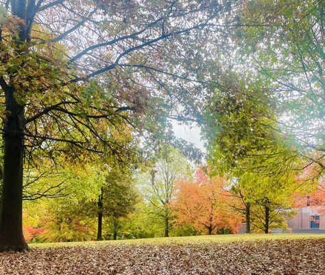 Clark Atlanta University by null