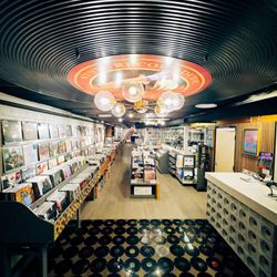 Vinyl Record Dude